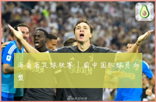 海南省足球联赛｜前中国队球员加盟